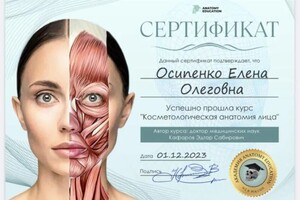 Диплом / сертификат №2 — Осипенко Елена Олеговна