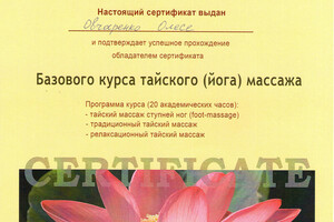 Диплом / сертификат №5 — Овчаренко Олеся Александровна