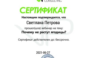 Диплом / сертификат №7 — Петрова Светлана Николаевна