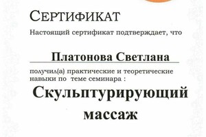 Диплом / сертификат №6 — Платонова Светлана Васильевна