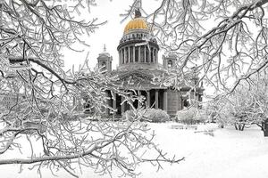 Зима в Питере,это не часто. Такая была лишь в десятом году. И это один из самых удачных моих снимков. — Поляков Георгий Николаевич