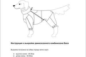 Разработка и продажа готовых лекал одежды для собак — Родина Евгения Владимировна