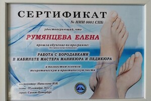 Диплом / сертификат №11 — Румянцева Елена Викторовна