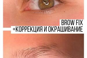 Ламинирование бровей (brow fix) + коррекция и окрашивание — Рязанская Екатерина Андреевна