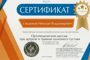 Диплом / сертификат №3 — Сердюков Николай Владимирович