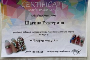 Диплом / сертификат №4 — Шагина Екатерина Владимировна