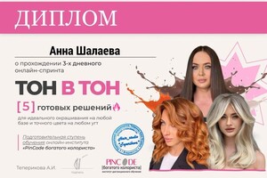 Диплом / сертификат №17 — Шалаева Анна Андреевна