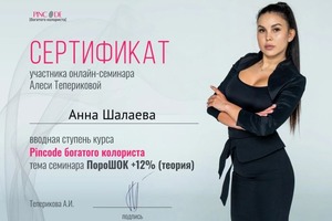 Диплом / сертификат №26 — Шалаева Анна Андреевна