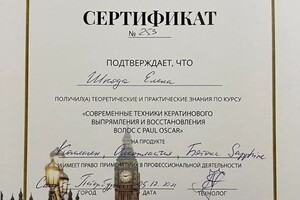 Диплом / сертификат №4 — Шкода Елена Анатольевна