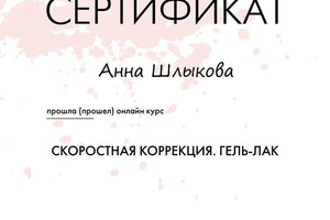 Диплом / сертификат №2 — Шлыкова Анна Олеговна