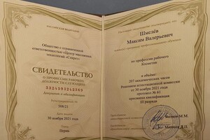 Диплом / сертификат №1 — Шмелёв Максим Валерьевич