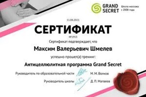 Диплом / сертификат №2 — Шмелёв Максим Валерьевич