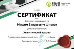 Диплом / сертификат №3 — Шмелёв Максим Валерьевич