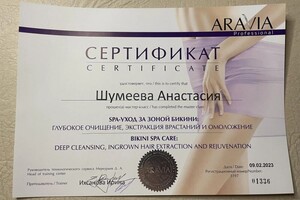 Диплом / сертификат №3 — Шумеева Анастасия Евгеньевна