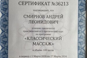 Диплом / сертификат №1 — Смирнов Андрей Леонидович