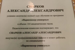 Диплом / сертификат №1 — Снарков Александр Александрович