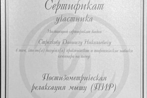 Диплом / сертификат №10 — Стрелков Даниил Николаевич