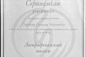 Диплом / сертификат №5 — Стрелков Даниил Николаевич