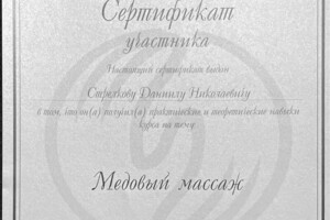 Диплом / сертификат №9 — Стрелков Даниил Николаевич