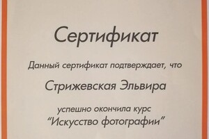 Диплом / сертификат №9 — Стрижевская Эльвира Викторовна