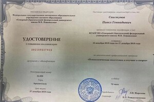 Диплом / сертификат №3 — Свистунов Павел Геннадьевич