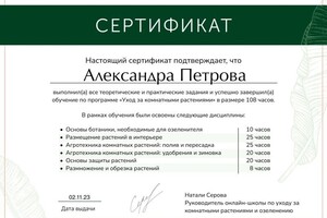 Диплом / сертификат №1 — Тихомирова Александра Николаевна