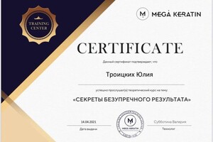 Диплом / сертификат №7 — Троицких Юлия Владиславовна