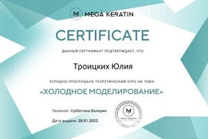 Диплом / сертификат №8 — Троицких Юлия Владиславовна