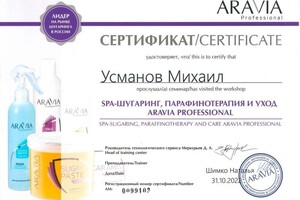 Диплом / сертификат №13 — Усманов Михаил Вадимович