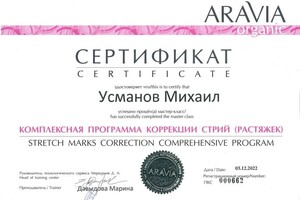 Диплом / сертификат №21 — Усманов Михаил Вадимович