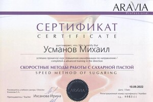 Диплом / сертификат №24 — Усманов Михаил Вадимович