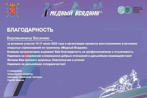 Диплом / сертификат №3 — Веремьянин Василий Михайлович