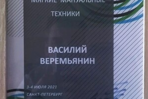 Диплом / сертификат №7 — Веремьянин Василий Михайлович