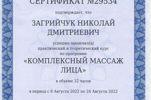 Диплом / сертификат №2 — Загрийчук Николай Дмитриевич