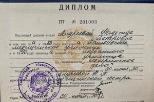 Диплом / сертификат №20 — Шаброва Надежда Петровна