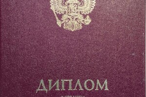 Диплом / сертификат №1 — Шебанова Елена Геннадьевна