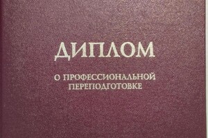Диплом / сертификат №2 — Шебанова Елена Геннадьевна