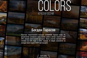 Диплом / сертификат №15 — Тарасов Богдан Николаевич