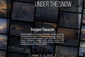 Диплом / сертификат №20 — Тарасов Богдан Николаевич