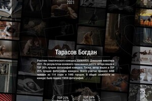 Диплом / сертификат №24 — Тарасов Богдан Николаевич