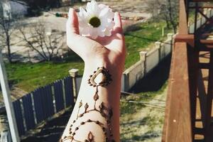 1 — Трюфилькина Дарья Николаевна
