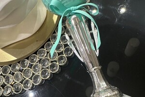 Диплом / сертификат №3 — Хуртина Ирина Викторовна
