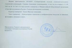 Диплом / сертификат №10 — Александр Синкин 