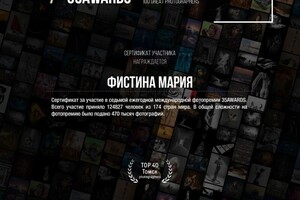 Диплом / сертификат №4 — Фистина Мария Андреевна