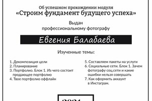 Диплом / сертификат №1 — Балабаева Евгения Александровна