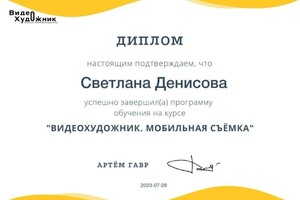 Диплом / сертификат №12 — Денисова Светлана Игоревна