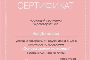 Диплом / сертификат №7 — Денисова Яна Витальевна