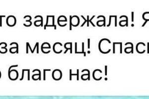 Портфолио №41 — Кононенко Ольга Евгеньевна