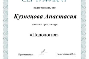 Диплом / сертификат №2 — Кузнецова Анастасия Александровна