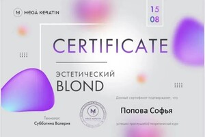 Диплом / сертификат №3 — Попова Софья Андреевна